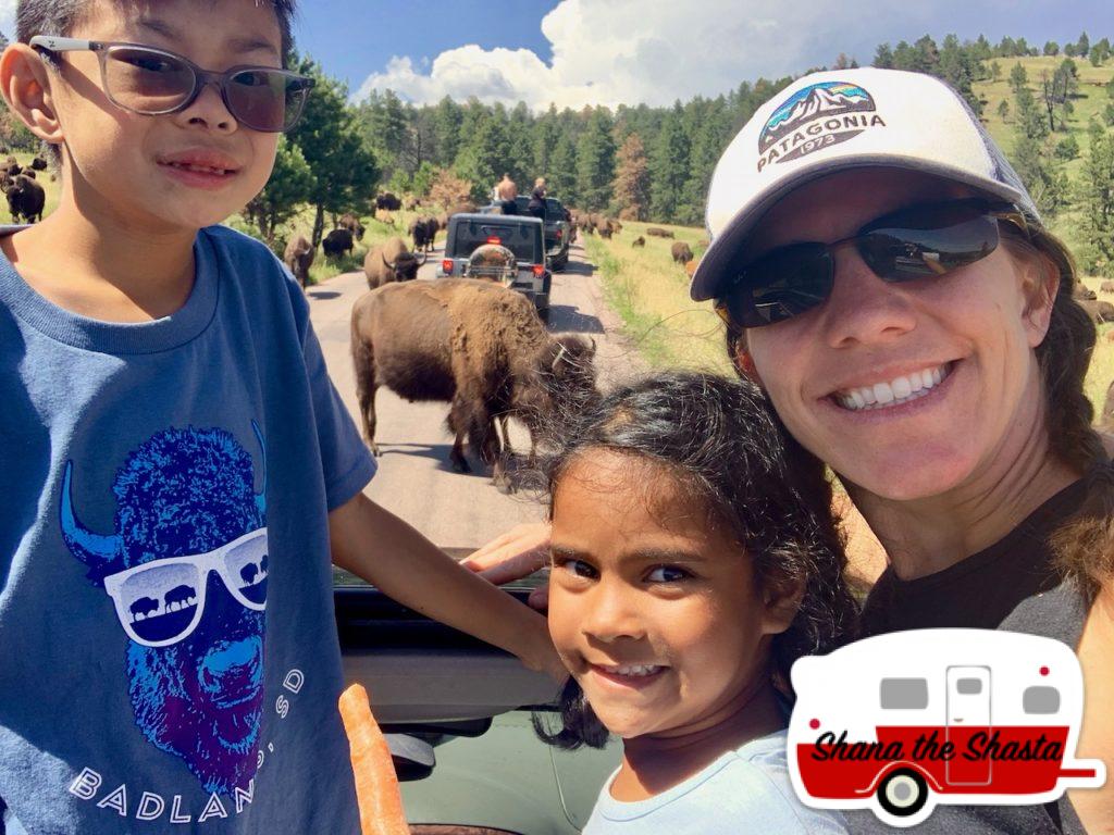 Surrounded-by-Bison-in-South-Dakota