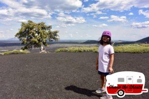 Tree-Hanging-On-Big-Cinder-Butte