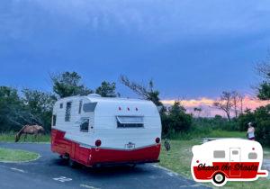 Vintage-Camper-Wild-Horse-Sunset