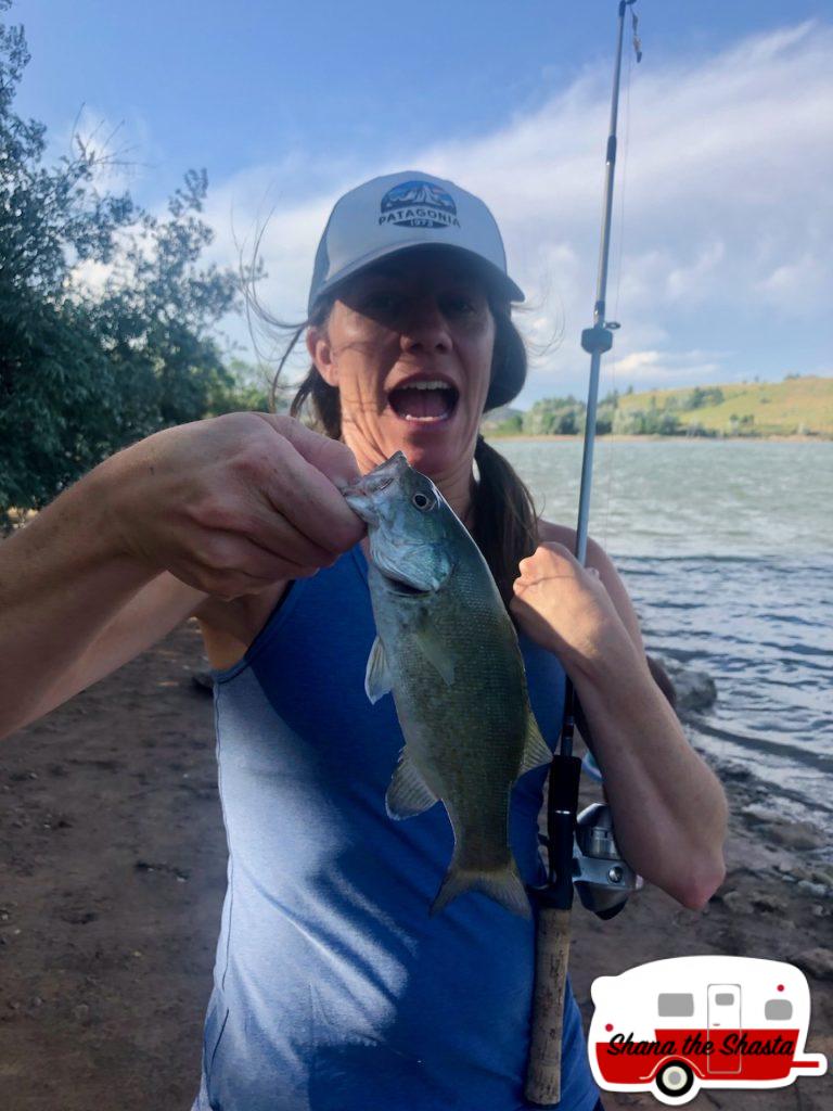 Walleye-Catch-in-Angostura-Reservoir