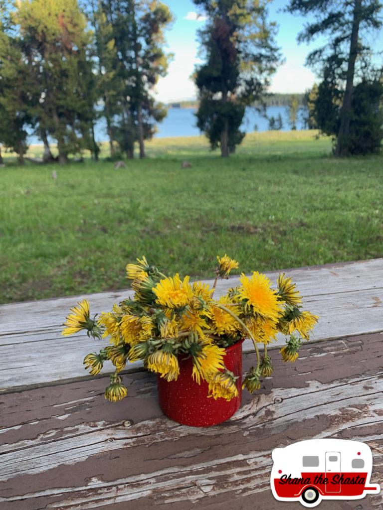 Yellowstone-Campsite-Bouquet