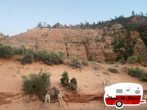 arches-to-zion-national-park-126
