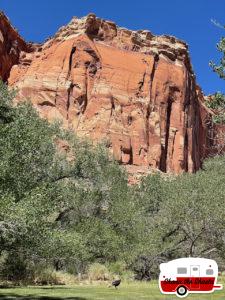arches-to-zion-national-park-13-1
