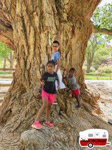 arches-to-zion-national-park-14