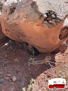 arches-to-zion-national-park-15-1