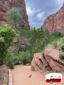 arches-to-zion-national-park-176