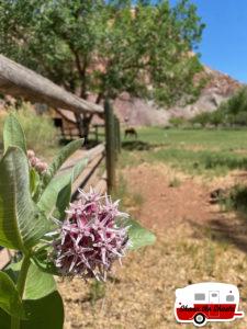 arches-to-zion-national-park-20-1