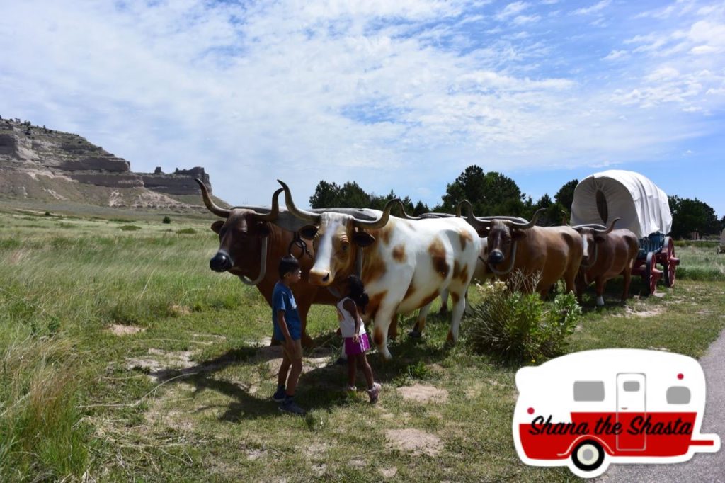 kissing steers oregon trail