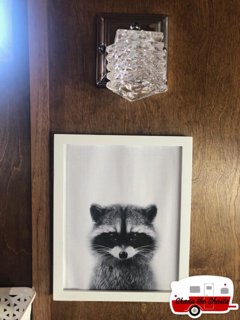 vintage camper baby racoon artwork